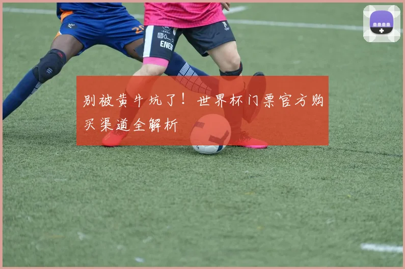 别被黄牛坑了！世界杯门票官方购买渠道全解析