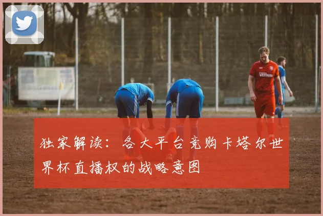 独家解读：各大平台竞购卡塔尔世界杯直播权的战略意图
