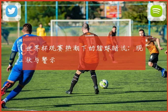 世界杯观赛热潮下的赌球暗流:现状与警示
