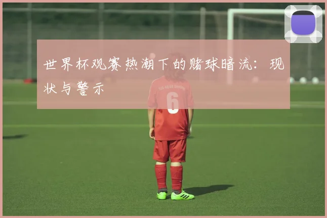 世界杯观赛热潮下的赌球暗流:现状与警示