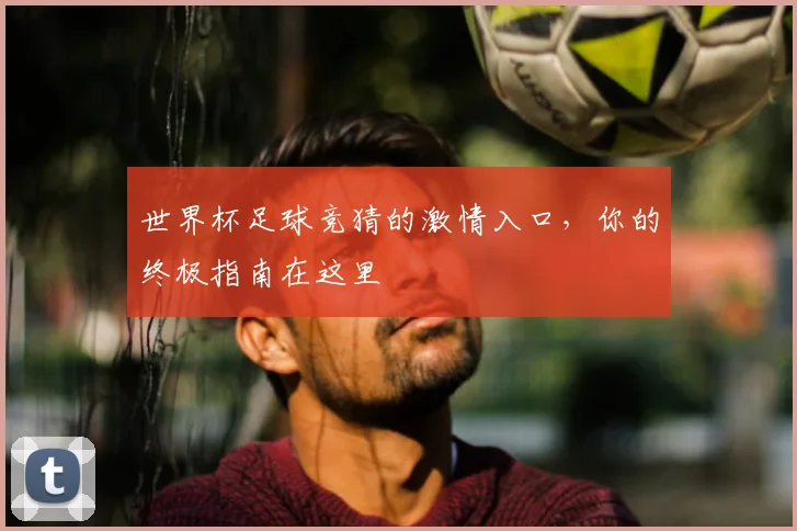 世界杯足球竞猜的激情入口,你的终极指南在这里